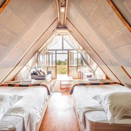 Buffelshoek Tented Camp Domaine de chasse de Manyeleti Extérieur photo