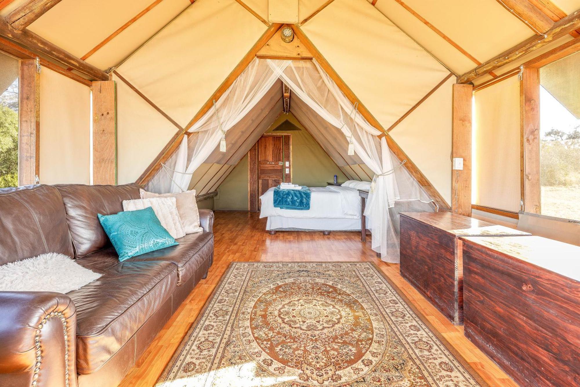 Buffelshoek Tented Camp Domaine de chasse de Manyeleti Extérieur photo