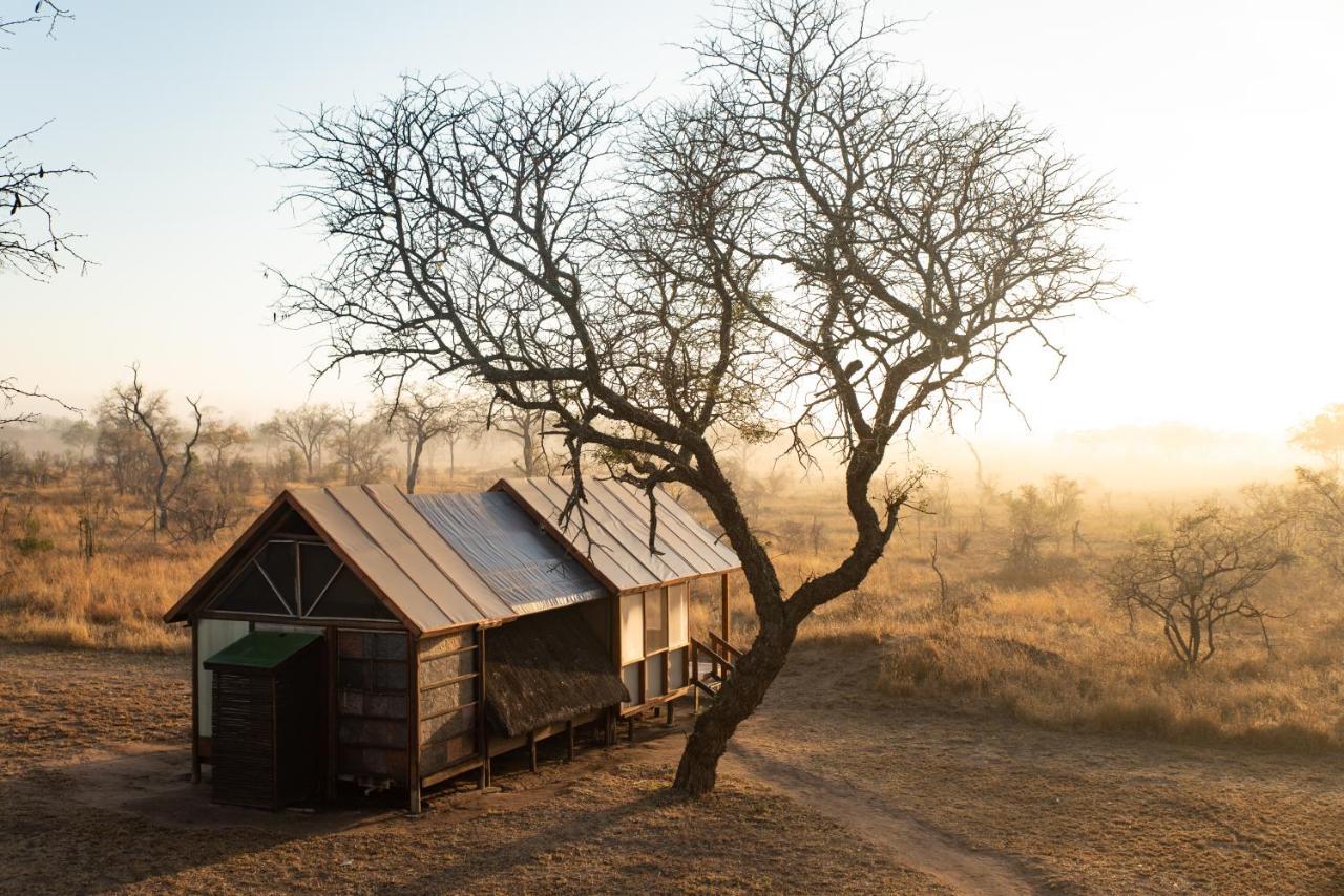 Buffelshoek Tented Camp Domaine de chasse de Manyeleti Extérieur photo